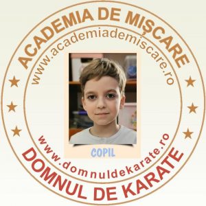 Academia de Miscare - Domnul de Karate - David T.