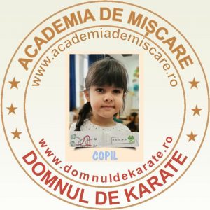 Academia de Miscare - Domnul de Karate - Melek A.