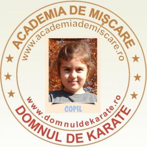 Academia de Miscare - Domnul de Karate - Mia