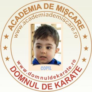 Academia de Miscare - Domnul de Karate - Teodor