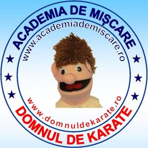 Academia de Mișcare - Domnul de Karate