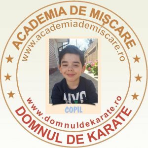 Academia de Mișcare - Domnul de Karate - Deniz
