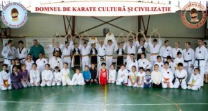 d.de karate cultură și civilizație