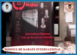 d.de karate international1