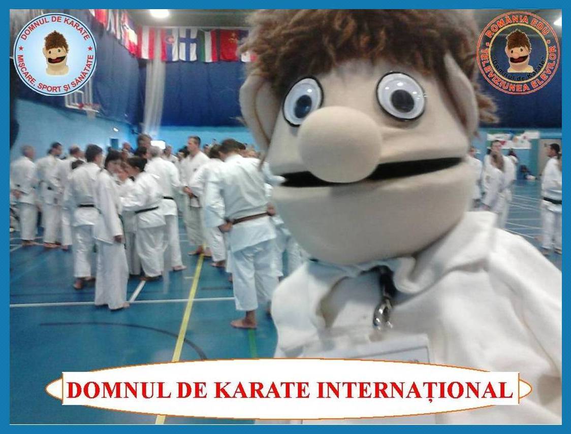d.de karate internațional