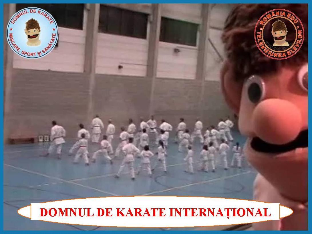 d.de karate internațional3