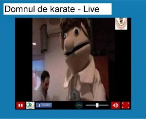 domnul de karate live