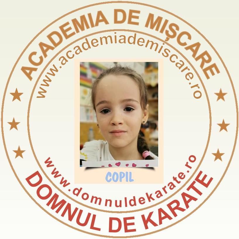 Academia de Miscare - Domnul de Karate - Ariana M.
