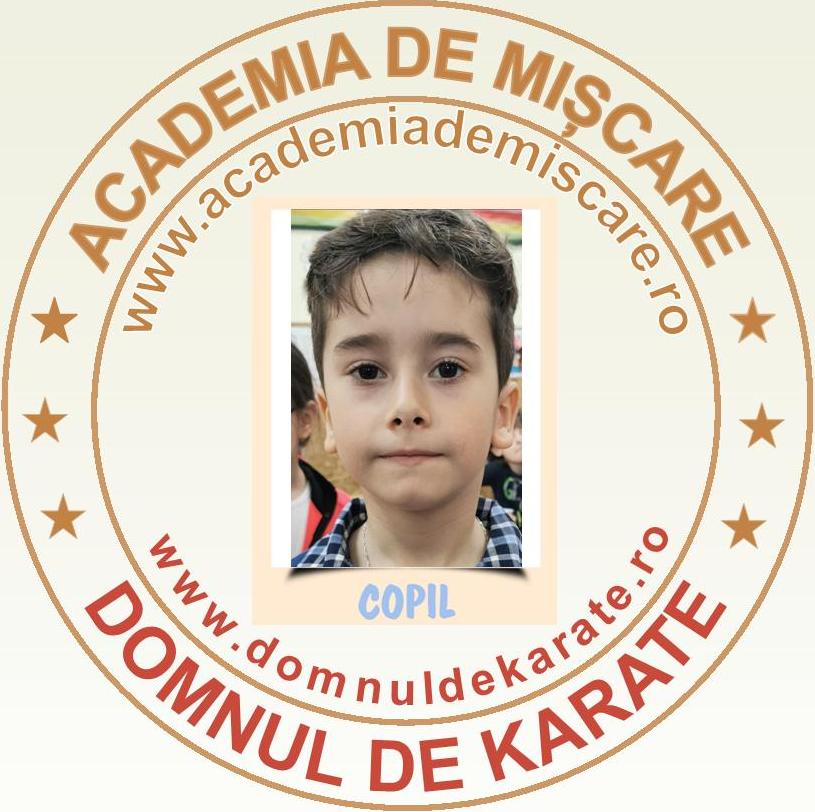 Academia de Miscare - Domnul de Karate - David P.