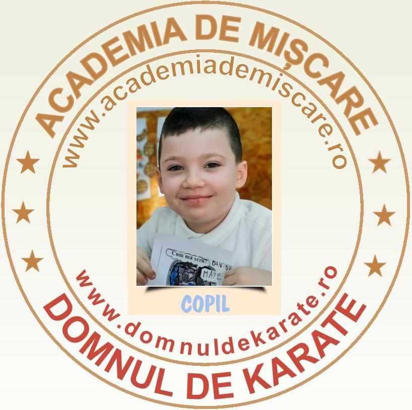 Academia de Miscare - Domnul de Karate - David V.