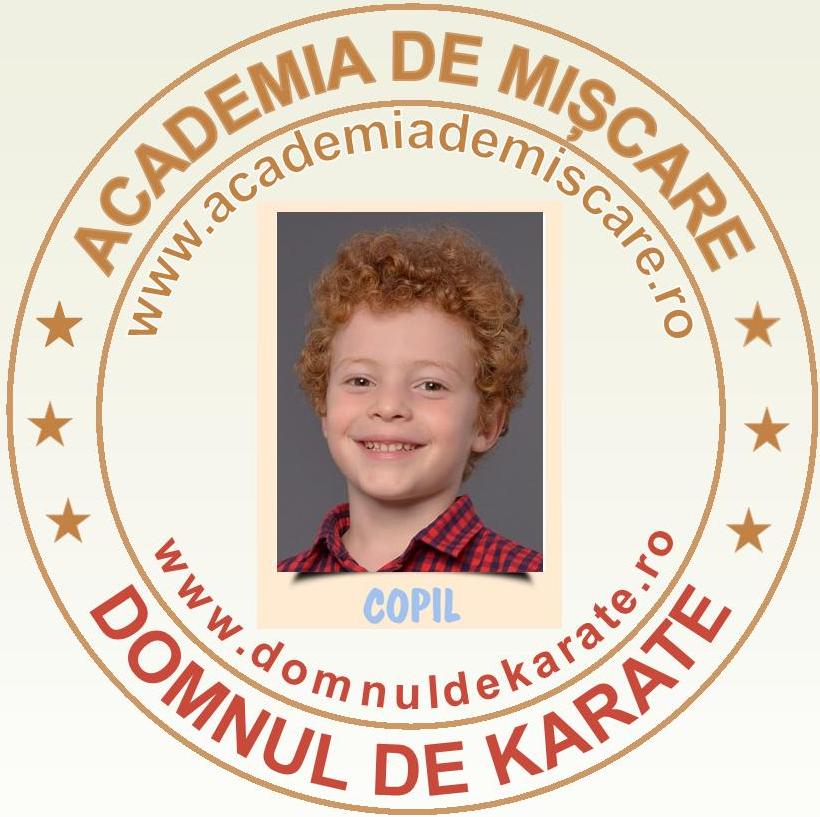Academia de Miscare - Domnul de Karate - Dragoș