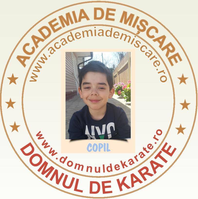 Academia de Mișcare - Domnul de Karate - Deniz