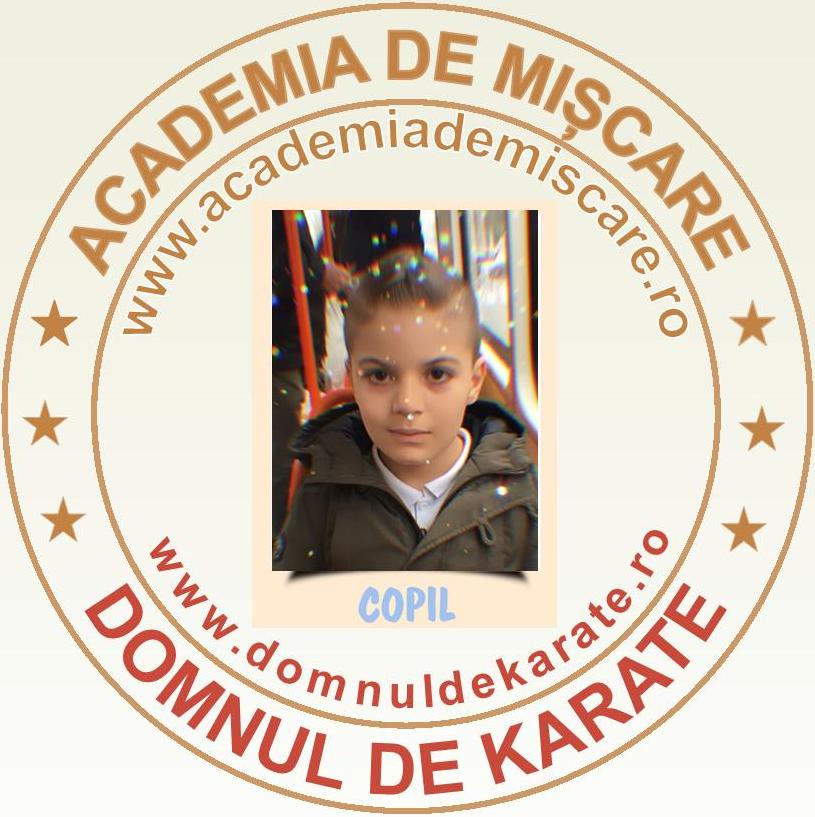 academia de miscare - domnul de karate ecuson - copil - Mihnea Cristian M.