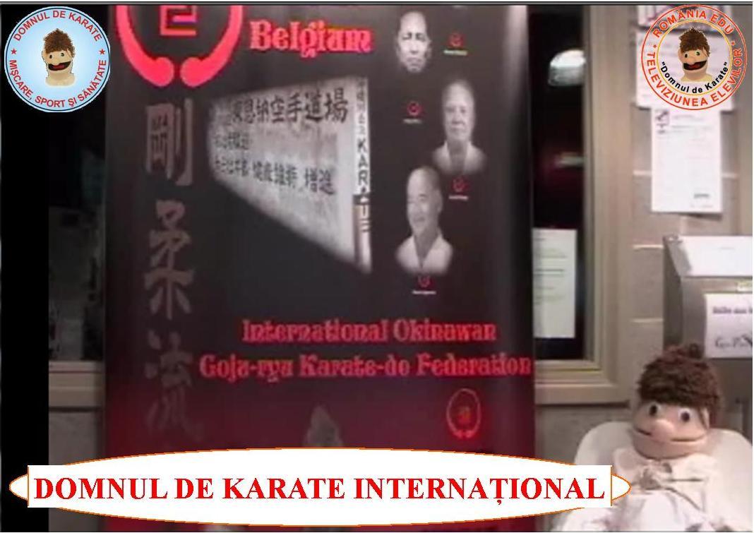 d.de karate internațional1