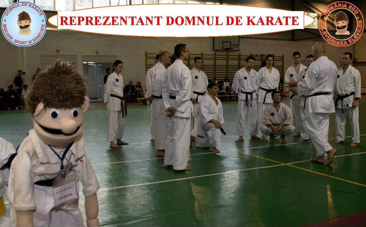 d.de karate reprezentant local